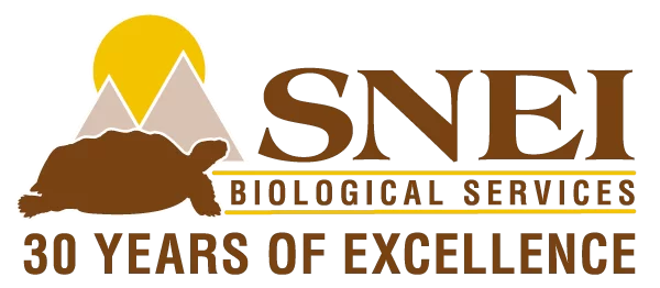 SNEI 30 Years Logo